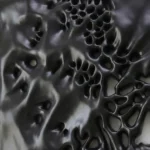Textured abstract hand-painted canvas with organic cellular forms in charcoal and silver tones