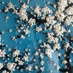 Contemporary abstract hand-painted canvas with clustered white and black buttons on teal background