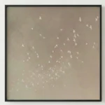 Minimalist hand-painted canvas depicting a flock of white birds in flight against soft taupe and cream tones